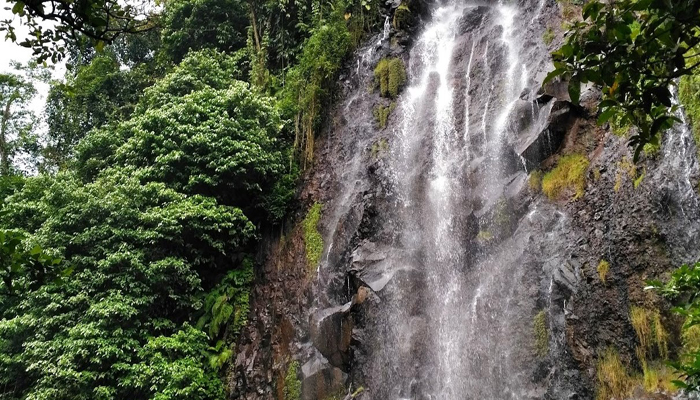 Curug Cigamea, Bogor