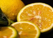 Rahasia Kecantikan dan Kesehatan dari Buah Lemon